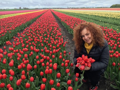 In Amsterdam, while traveling solo doing a home exchange, I visited beautiful tulip fields.